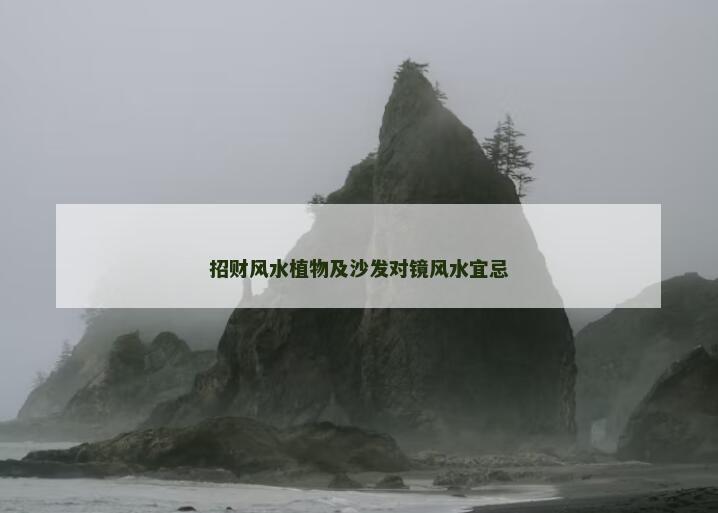 招财风水植物及沙发对镜风水宜忌