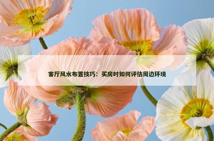 客厅风水布置技巧：买房时如何评估周边环境