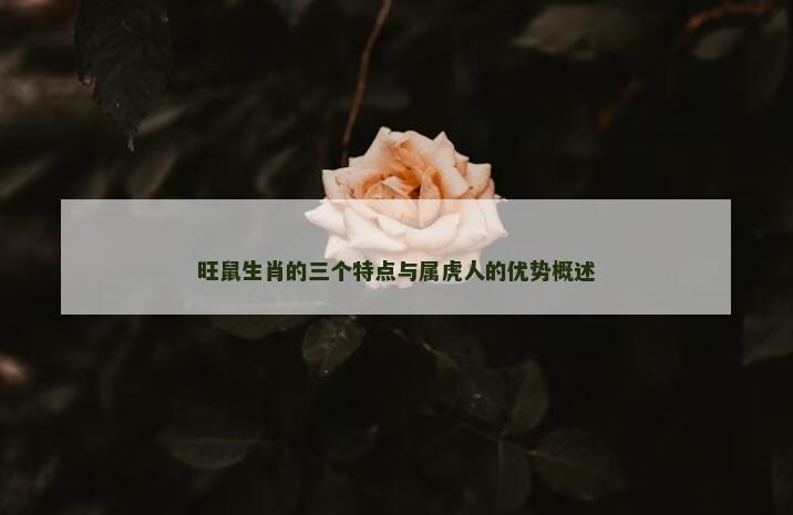 旺鼠生肖的三个特点与属虎人的优势概述